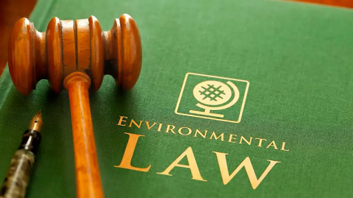 Environmental Lawyers 